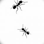 фото Эскиз тату муравей от 07.09.2017 №056 - Sketch of an ant tattoo - tatufoto.com