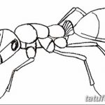 фото Эскиз тату муравей от 07.09.2017 №060 - Sketch of an ant tattoo - tatufoto.com