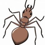 фото Эскиз тату муравей от 07.09.2017 №062 - Sketch of an ant tattoo - tatufoto.com