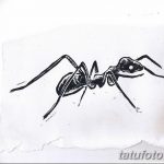 фото Эскиз тату муравей от 07.09.2017 №065 - Sketch of an ant tattoo - tatufoto.com
