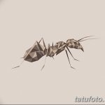 фото Эскиз тату муравей от 07.09.2017 №066 - Sketch of an ant tattoo - tatufoto.com