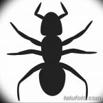 фото Эскиз тату муравей от 07.09.2017 №069 - Sketch of an ant tattoo - tatufoto.com