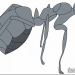 фото Эскиз тату муравей от 07.09.2017 №073 - Sketch of an ant tattoo - tatufoto.com