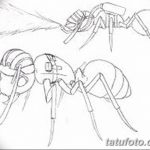 фото Эскиз тату муравей от 07.09.2017 №077 - Sketch of an ant tattoo - tatufoto.com