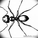 фото Эскиз тату муравей от 07.09.2017 №078 - Sketch of an ant tattoo - tatufoto.com
