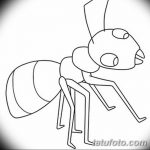 фото Эскиз тату муравей от 07.09.2017 №080 - Sketch of an ant tattoo - tatufoto.com
