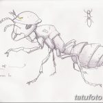 фото Эскиз тату муравей от 07.09.2017 №084 - Sketch of an ant tattoo - tatufoto.com