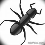 фото Эскиз тату муравей от 07.09.2017 №085 - Sketch of an ant tattoo - tatufoto.com