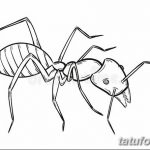 фото Эскиз тату муравей от 07.09.2017 №088 - Sketch of an ant tattoo - tatufoto.com