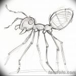 фото Эскиз тату муравей от 07.09.2017 №092 - Sketch of an ant tattoo - tatufoto.com