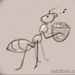 фото Эскиз тату муравей от 07.09.2017 №094 - Sketch of an ant tattoo - tatufoto.com