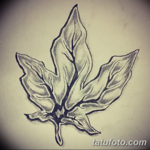 Эскиз татуировки кленового листа, имитирующий карандашный рисунок с мягкими тенями и плавными переходами. Реалистичный и художественный дизайн.