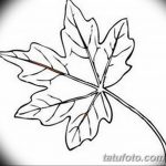 фото Эскизы тату клен от 29.09.2017 №017 - Sketches of tattoo maple - tatufoto.com