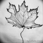 фото Эскизы тату клен от 29.09.2017 №056 - Sketches of tattoo maple - tatufoto.com