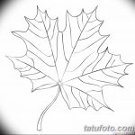 фото Эскизы тату клен от 29.09.2017 №062 - Sketches of tattoo maple - tatufoto.com