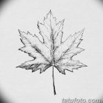 фото Эскизы тату клен от 29.09.2017 №066 - Sketches of tattoo maple - tatufoto.com