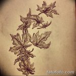 фото Эскизы тату клен от 29.09.2017 №085 - Sketches of tattoo maple - tatufoto.com