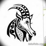фото Эскизы тату козерог от 29.09.2017 №014 - Sketchesf a capricorn tattoo - tatufoto.com