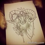 фото Эскизы тату козерог от 29.09.2017 №015 - Sketchesf a capricorn tattoo - tatufoto.com