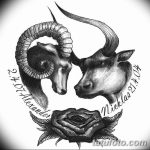 фото Эскизы тату козерог от 29.09.2017 №027 - Sketchesf a capricorn tattoo - tatufoto.com
