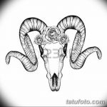 фото Эскизы тату козерог от 29.09.2017 №056 - Sketchesf a capricorn tattoo - tatufoto.com