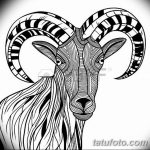фото Эскизы тату козерог от 29.09.2017 №058 - Sketchesf a capricorn tattoo - tatufoto.com