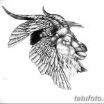 фото Эскизы тату козерог от 29.09.2017 №068 - Sketchesf a capricorn tattoo - tatufoto.com