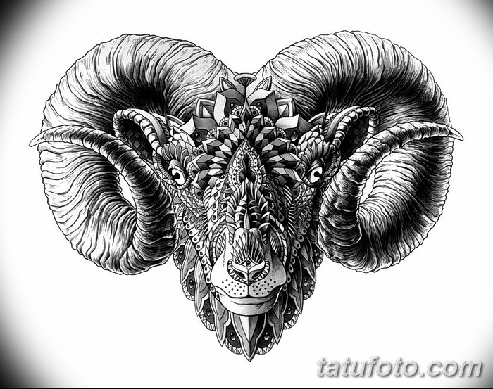 фото Эскизы тату козерог от 29.09.2017 №078 - Sketchesf a capricorn tattoo - tatufoto.com