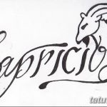 фото Эскизы тату козерог от 29.09.2017 №090 - Sketchesf a capricorn tattoo - tatufoto.com