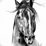 фото Эскизы тату конь от 29.09.2017 №006 - Sketches of a horse tattoo - tatufoto.com
