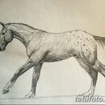 фото Эскизы тату конь от 29.09.2017 №021 - Sketches of a horse tattoo - tatufoto.com