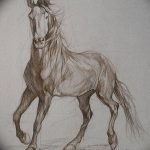 фото Эскизы тату конь от 29.09.2017 №037 - Sketches of a horse tattoo - tatufoto.com