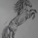 фото Эскизы тату конь от 29.09.2017 №041 - Sketches of a horse tattoo - tatufoto.com