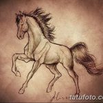 фото Эскизы тату конь от 29.09.2017 №045 - Sketches of a horse tattoo - tatufoto.com