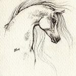 фото Эскизы тату конь от 29.09.2017 №046 - Sketches of a horse tattoo - tatufoto.com