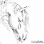 фото Эскизы тату конь от 29.09.2017 №055 - Sketches of a horse tattoo - tatufoto.com