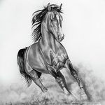 фото Эскизы тату конь от 29.09.2017 №058 - Sketches of a horse tattoo - tatufoto.com