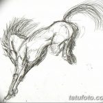 фото Эскизы тату конь от 29.09.2017 №063 - Sketches of a horse tattoo - tatufoto.com