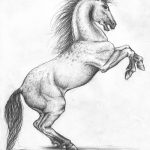 фото Эскизы тату конь от 29.09.2017 №064 - Sketches of a horse tattoo - tatufoto.com