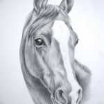 фото Эскизы тату конь от 29.09.2017 №065 - Sketches of a horse tattoo - tatufoto.com
