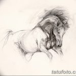 фото Эскизы тату конь от 29.09.2017 №067 - Sketches of a horse tattoo - tatufoto.com