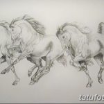 фото Эскизы тату конь от 29.09.2017 №080 - Sketches of a horse tattoo - tatufoto.com