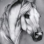 фото Эскизы тату конь от 29.09.2017 №083 - Sketches of a horse tattoo - tatufoto.com