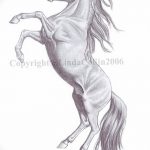 фото Эскизы тату конь от 29.09.2017 №098 - Sketches of a horse tattoo - tatufoto.com