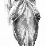 фото Эскизы тату конь от 29.09.2017 №123 - Sketches of a horse tattoo - tatufoto.com