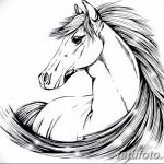 фото Эскизы тату конь от 29.09.2017 №130 - Sketches of a horse tattoo - tatufoto.com