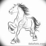 фото Эскизы тату конь от 29.09.2017 №132 - Sketches of a horse tattoo - tatufoto.com