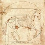 фото Эскизы тату конь от 29.09.2017 №138 - Sketches of a horse tattoo - tatufoto.com