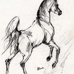 фото Эскизы тату конь от 29.09.2017 №141 - Sketches of a horse tattoo - tatufoto.com