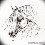фото Эскизы тату конь от 29.09.2017 №142 - Sketches of a horse tattoo - tatufoto.com